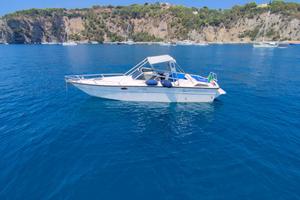 Motoscafo Fiart super arrow diesel 200 cv