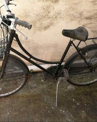 Bicicletta olandese 