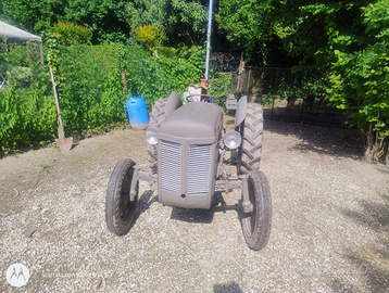 Massey Fergusin Tef 20