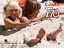 Immagine 3