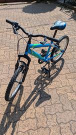 MTB Olmo Sentiero 20