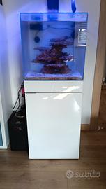 acquario aqpet 50x50x50 