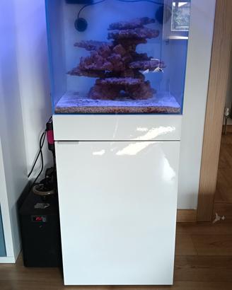 acquario aqpet 50x50x50 