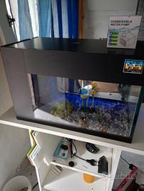 acquario 