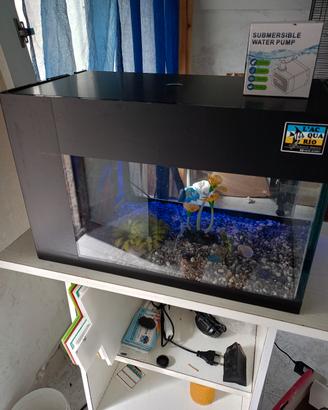 acquario 