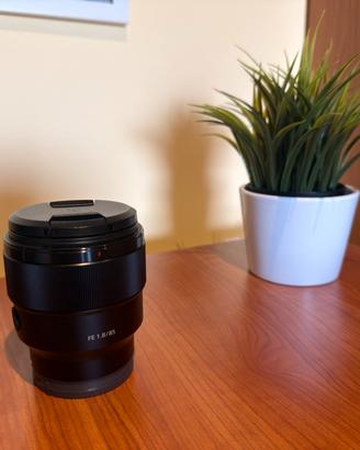 Sony FE 85mm f/1.8