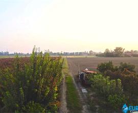 CARPI, TERRENO AGRICOLO CON ACCESSO INDIPENDENTE