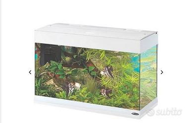 acquario dubbai 80 della ferplast 