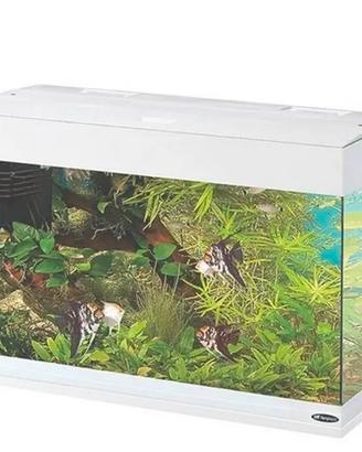 acquario dubbai 80 della ferplast 