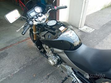 Honda Hornet 