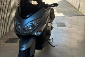 Tmax 500 2010