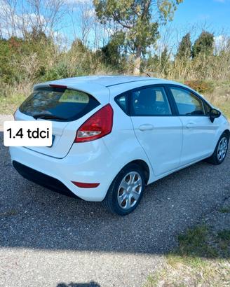 Ford Fiesta Ikon 1.4 TDCi 70CV 5 porte