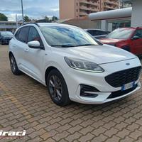 Ford Kuga 1.5 EcoBlue 120 CV aut. 2WD ST-Line