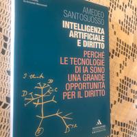 Santosuosso Intelligenza artificiale e diritto