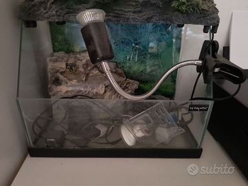 Terrario/Tartarughiera