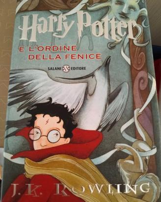 Libro Harry Potter