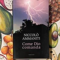 Romanzo  “Come Dio comanda” (Niccolò Ammaniti)