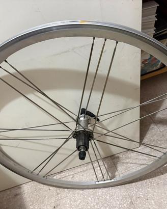 Cerchi ruote Campagnolo
