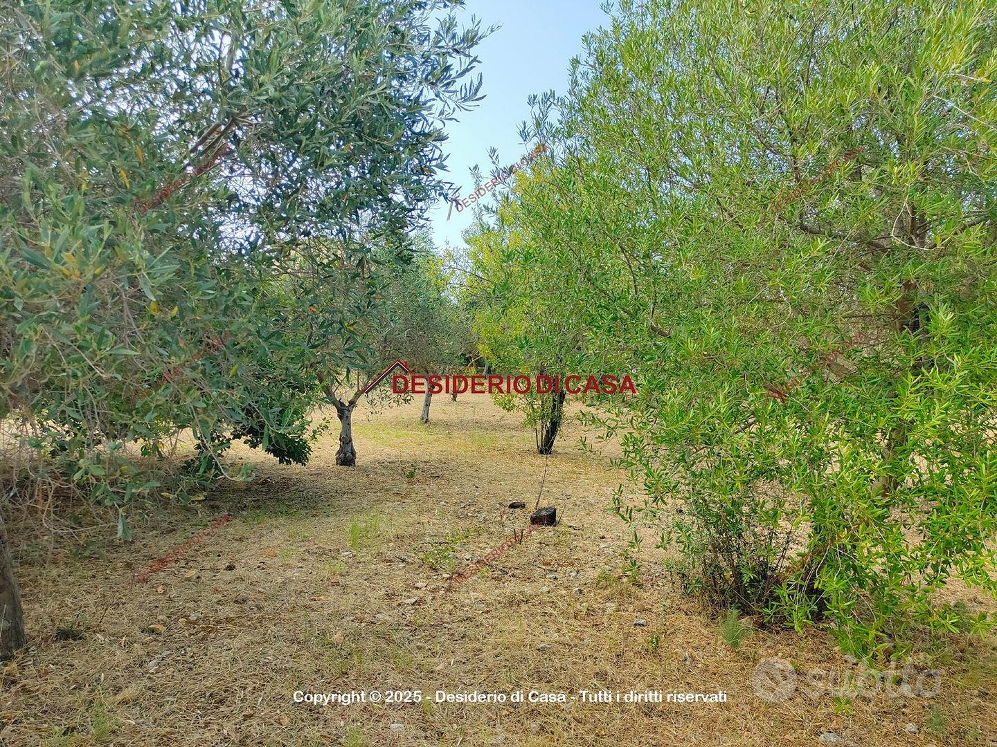 Terreno, Centro di Villagrazia, Carini. - Vista 3