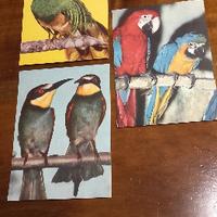 Cartoline pubblicitarie ELAH casa delle caramelle