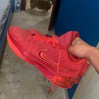 Scarpe Nike LeBron 21 "James Gang"