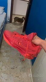 Scarpe Nike LeBron 21 "James Gang"