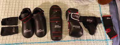 Protezioni guantoni da combattimento Sphinx