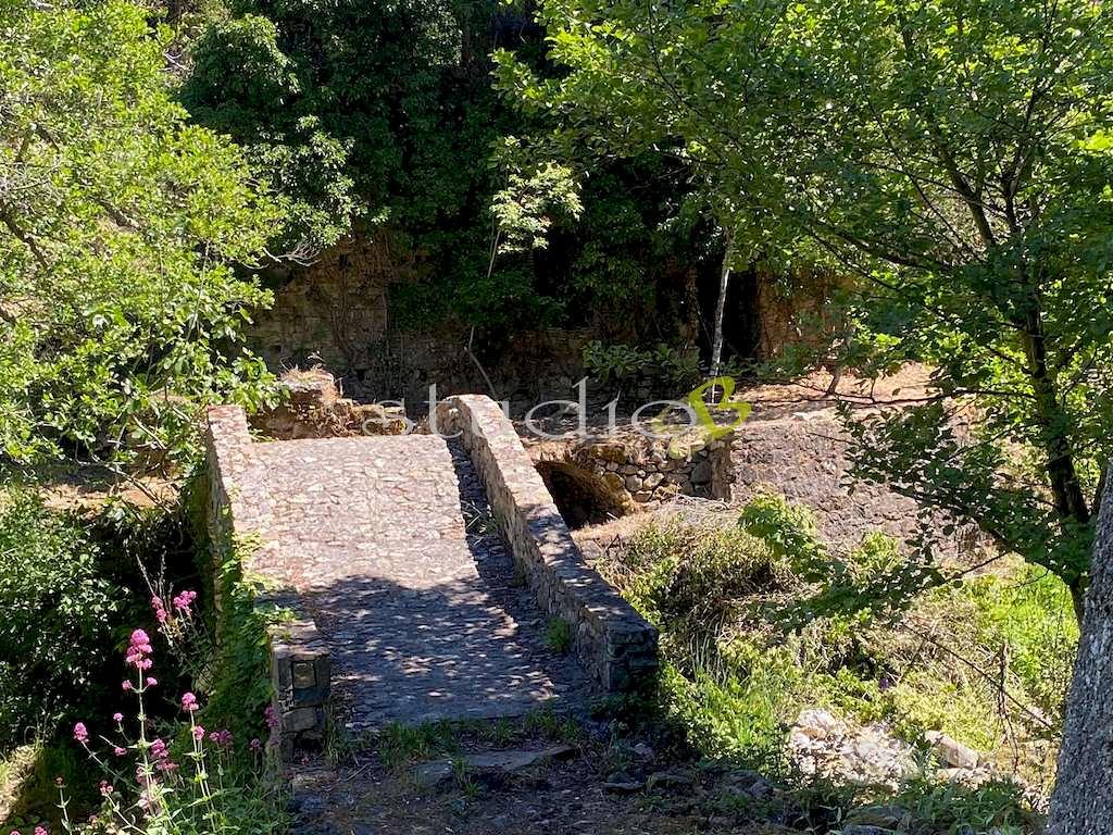 Rustico-Casale a Vallebona - Vista 3