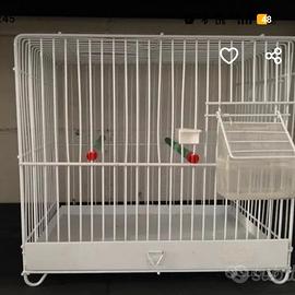 gabbia 
