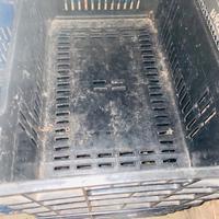 Cassette per verdura impilabili