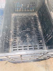 Cassette per verdura impilabili