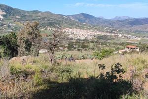 Terreno Edificabile - Bolognetta