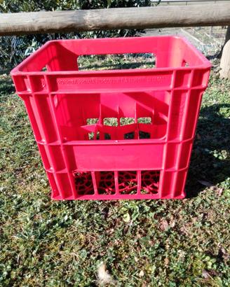 Cassetta Porta Bottiglie 6 Posti  per bottiglioni