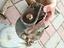 Immagine 14