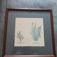Quadro 