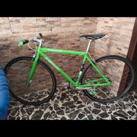 bici  Kawasaki 
