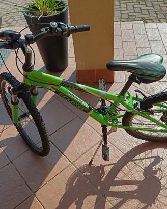 Bicicletta
