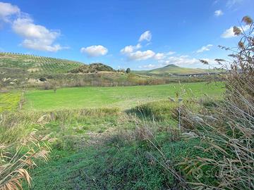 Rif.RI88| terreno agricolo borgia