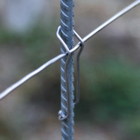 Viticoltura
