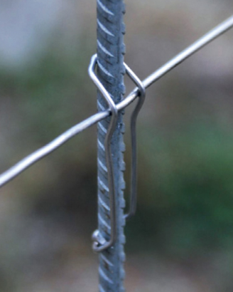 Viticoltura