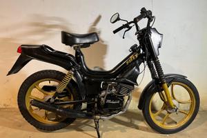 Fifty hf 1982