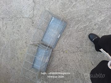 gabbie zincate per uccelli da 45