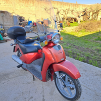 Scarabeo 125