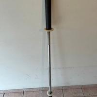 Bilanciere Lacertosus