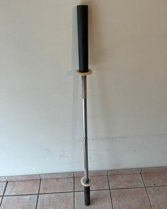 Bilanciere Lacertosus