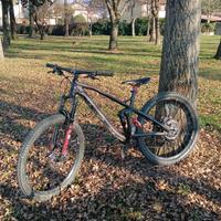 Canyon Strive AL 6.0