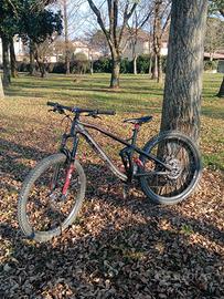 Canyon Strive AL 6.0