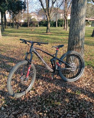 Canyon Strive AL 6.0