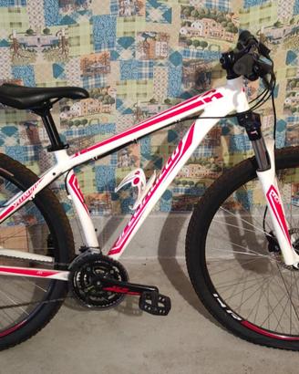 Mountain Bike front Specialized
