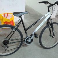 Bicicletta mountain bike